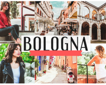 Load image into Gallery viewer, Bologna Desktop Lightroom Preset