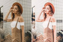 Load image into Gallery viewer, Mercury Desktop Lightroom Preset