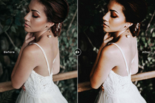 Load image into Gallery viewer, Rustic Professional Desktop Lightroom Preset