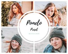 Load image into Gallery viewer, Pomelo Mobile Lightroom Preset
