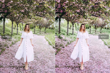 Load image into Gallery viewer, Sakura Desktop Lightroom Preset
