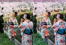 Load image into Gallery viewer, Sakura Desktop Lightroom Preset
