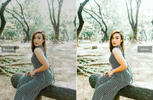 Load image into Gallery viewer, Angeles Mobile Lightroom Preset
