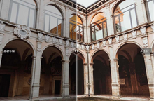 Load image into Gallery viewer, Bologna Mobile Lightroom Preset

