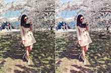 Load image into Gallery viewer, Sakura Desktop Lightroom Preset
